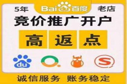 竞价排名实战技巧解析